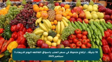 18 جنيهًا.. ارتفاع ملحوظ في سعر العنب بأسواق الفاكهة اليوم الأربعاء 3 سبتمبر 2025